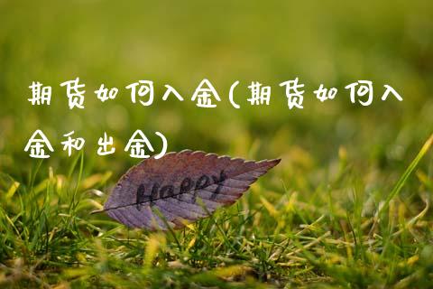 期货如何入金(期货如何入金和出金)