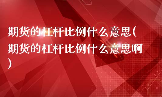 期货的杠杆比例什么意思(期货的杠杆比例什么意思啊)