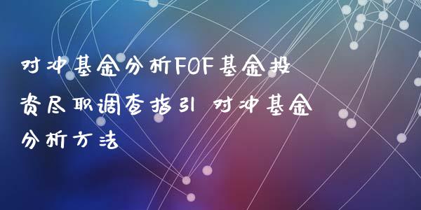 对冲基金分析FOF基资尽职调查指引 对冲基金分析方法