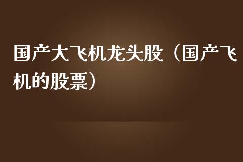 国产大飞机龙头股（国产飞机的股票）