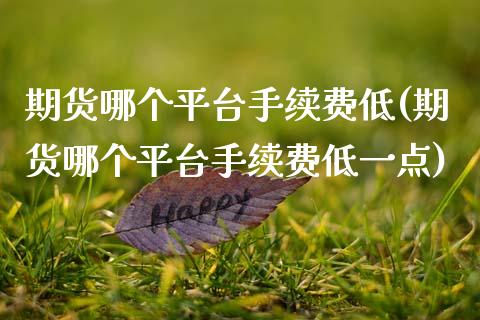 期货哪个平台手续费低(期货哪个平台手续费低一点)
