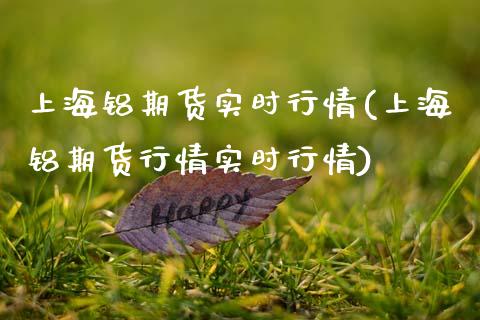 上海铝期货实时行情(上海铝期货行情实时行情)
