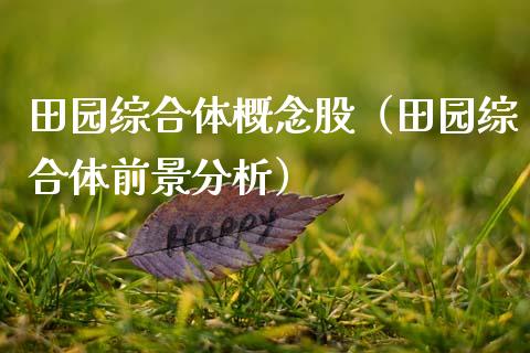田园综合体概念股（田园综合体前景分析）