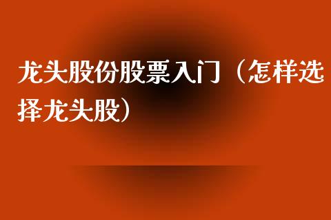 龙头股份股票入门(怎样选择龙头股)_财经要闻_第1张_宇龙理财网 龙头股份股票入门(怎样选择龙头股)_https://www.dglong8.com_财经要闻_第1张