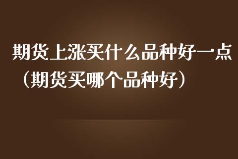 期货上涨买什么品种好一点（期货买哪个品种好）