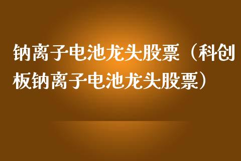 钠离子电池龙头股票（科创板钠离子电池龙头股票）