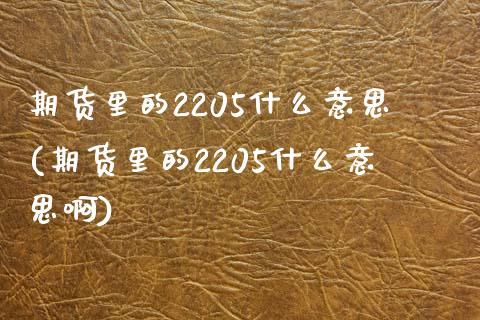 期货里的2205什么意思(期货里的2205什么意思啊)
