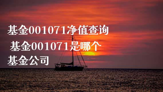 基金001071净值查询 基金001071是哪个基金公司