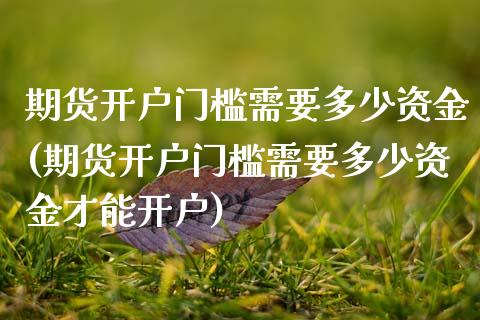 期货开户门槛需要多少资金(期货开户门槛需要多少资金才能开户)