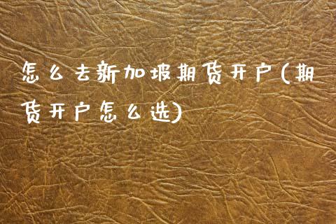 怎么去新加坡期货开户(期货开户怎么选)