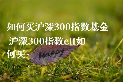 如何买沪深300指数基金 沪深300指数etf如何买_期货理财_第1张_宇龙理财网 如何买沪深300指数基金 沪深300指数etf如何买_https://www.dglong8.com_期货理财_第1张