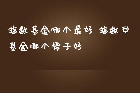指数基金哪个最好 指数型基金哪个牌子好