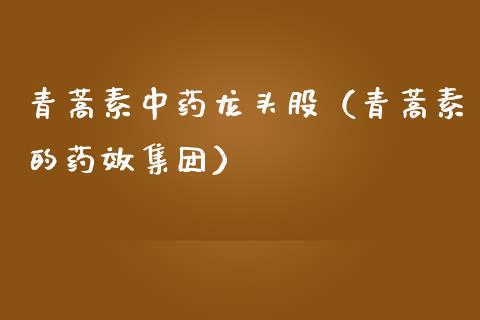 中药龙头股（的药效集团）