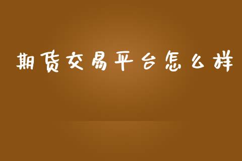 期货交易平台怎么样_https://www.dglong8.com_财经要闻_第1张