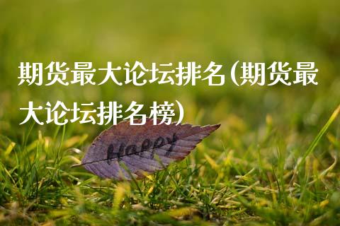 期货最大排名(期货最大排名榜)