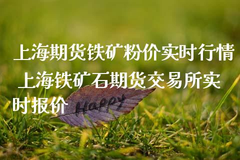上海期货铁矿粉价实时行情 上海铁矿石期货交易所实时报价