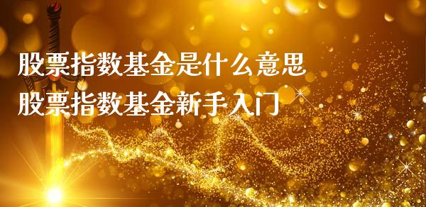股票指数基金是什么意思 股票指数基金新手入门
