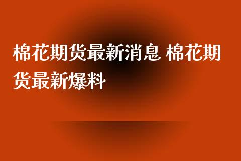 棉花期货最新消息 棉花期货最新爆料