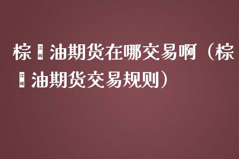 棕榈油期货在哪交易啊（棕榈油期货交易规则）