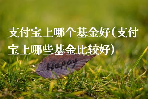 支付宝上哪个基金好(支付宝上哪些基金比较好)