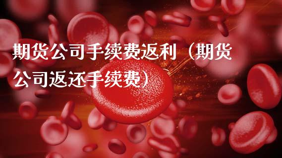 期货公司手续费返利（期货公司返还手续费）