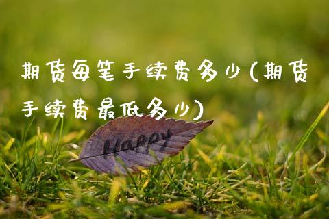 期货每笔手续费多少(期货手续费最低多少)