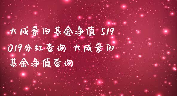 大成景阳基金净值 519019分红查询 大成景阳基金净值查询
