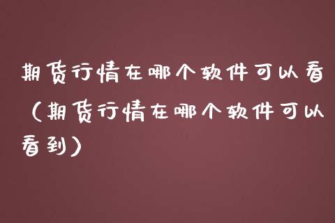 期货行情在哪个软件可以看（期货行情在哪个软件可以看到）