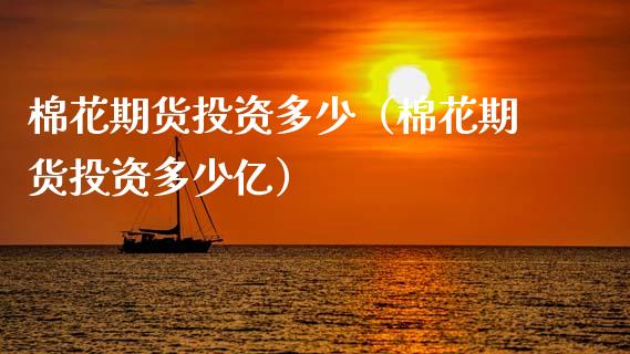 棉花期货投资多少（棉花期货投资多少亿）