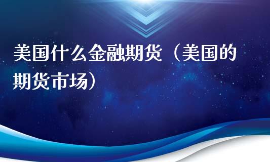 美国什么金融期货（美国的期货市场）