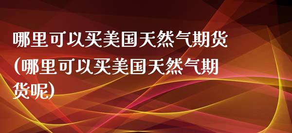 哪里可以买美国天然气期货(哪里可以买美国天然气期货呢)