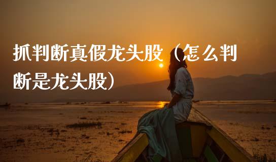 抓判断真假龙头股（怎么判断是龙头股）