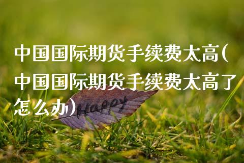 中国国际期货手续费太高(中国国际期货手续费太高了怎么办)