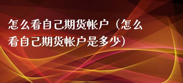 怎么看自己期货帐户（怎么看自己期货帐户是多少）