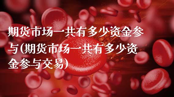期货市场一共有多少资金参与(期货市场一共有多少资金参与交易)