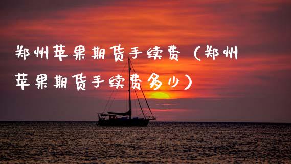 郑州苹果期货手续费（郑州苹果期货手续费多少）