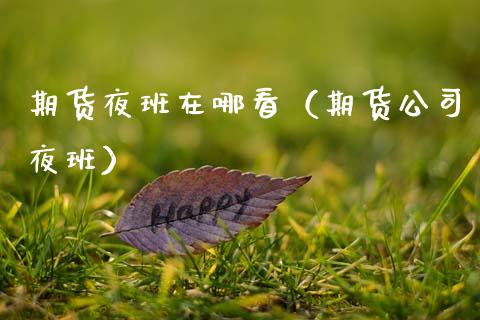 期货夜班在哪看（期货公司夜班）