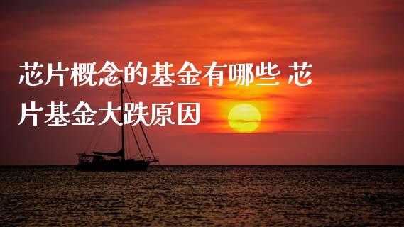 芯片概念的基金有哪些 芯片基金大跌原因