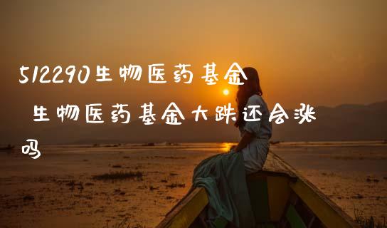 512290生物医药基金 生物医药基金大跌还会涨吗_https://www.dglong8.com_基金理财_第1张