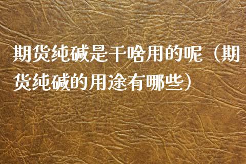 期货纯碱是干啥用的呢(期货纯碱的用途有哪些)_财经要闻_第1张_宇龙理财网 期货纯碱是干啥用的呢(期货纯碱的用途有哪些)_https://www.dglong8.com_财经要闻_第1张