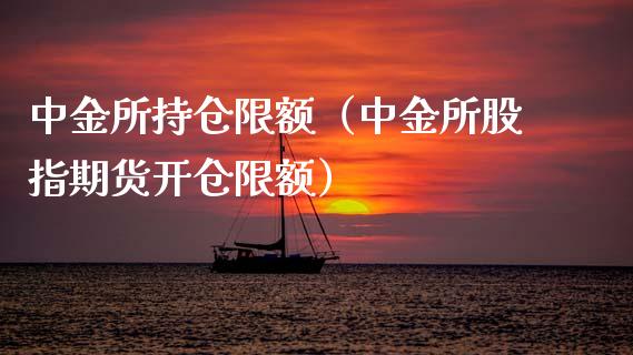 所持仓限额（所股指期货开仓限额）