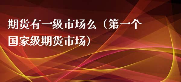 期货有一级市场么（第一个国家级期货市场）