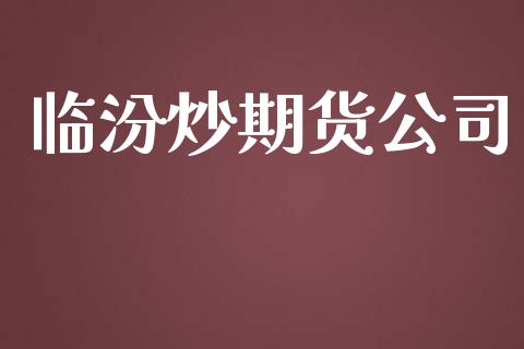 临汾炒期货公司