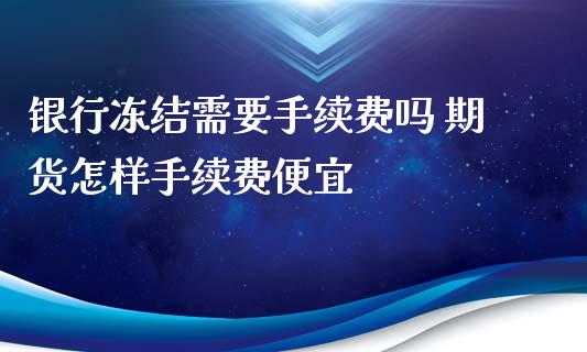 银行冻结需要手续费吗 期货怎样手续费便宜