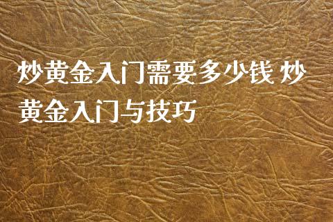 炒黄金入门需要多少钱 炒黄金入门与技巧
