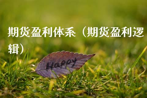 期货盈利体系（期货盈利逻辑）