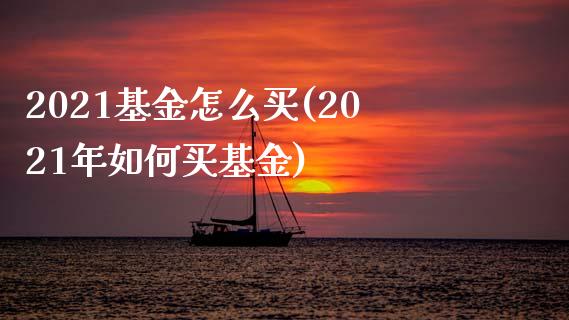 2021基金怎么买(2021年如何买基金)