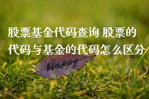 股票基金代码查询 股票的代码与基金的代码怎么区分_基金理财_第1张_宇龙理财网 股票基金代码查询 股票的代码与基金的代码怎么区分_https://www.dglong8.com_基金理财_第1张