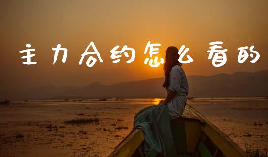 主力合约怎么看的