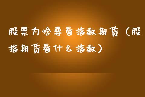 股票为啥要看指数期货（股指期货看什么指数）